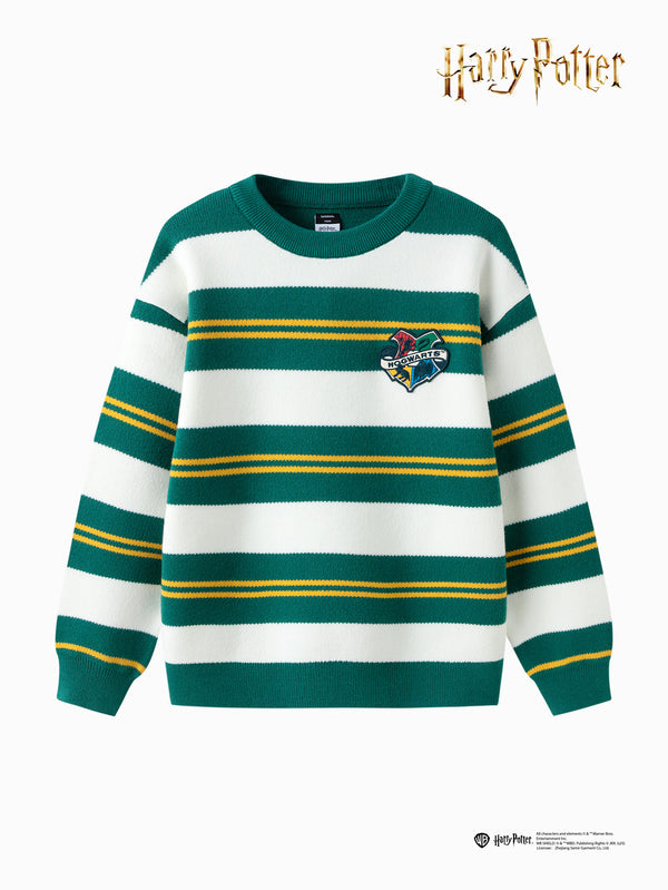 【Harry Potter IP】Pull 2025 Printemps Nouveau Garçon Pull Col Rond