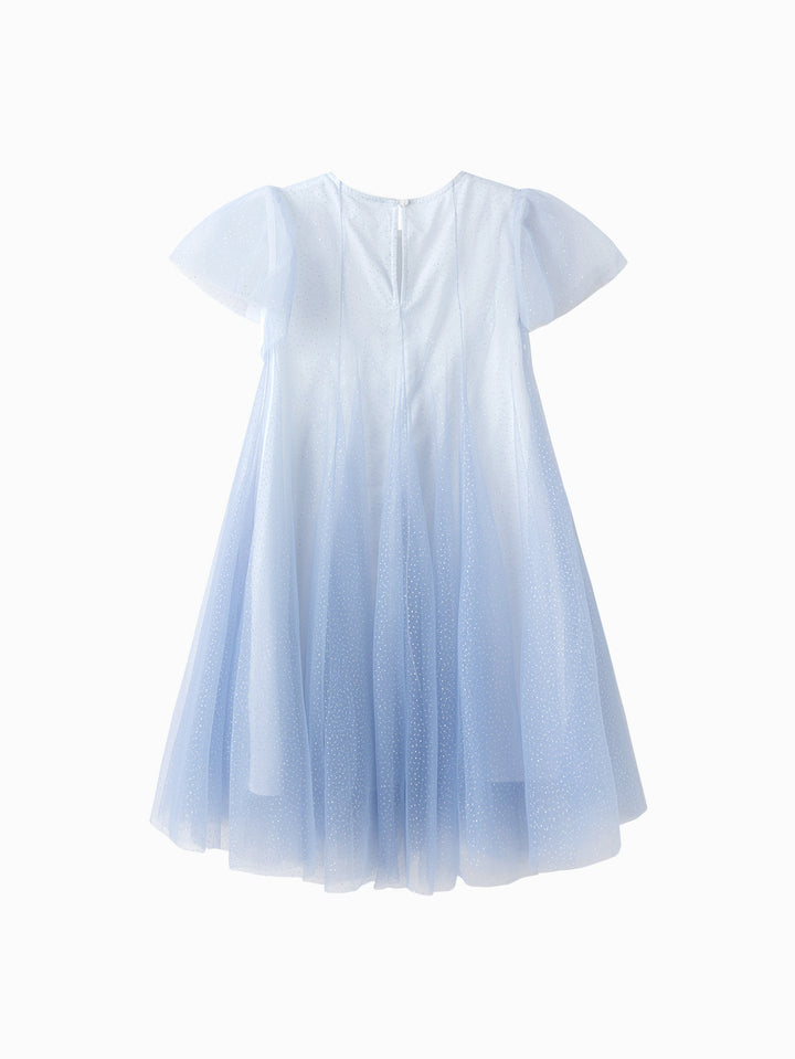 Blue Toddler Girl Woven Dress