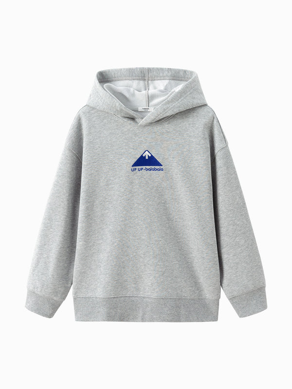 Unisex Daily Life Light Gray Triangle Hoody