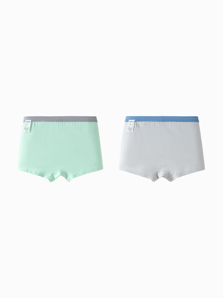 Gray Green Underpants