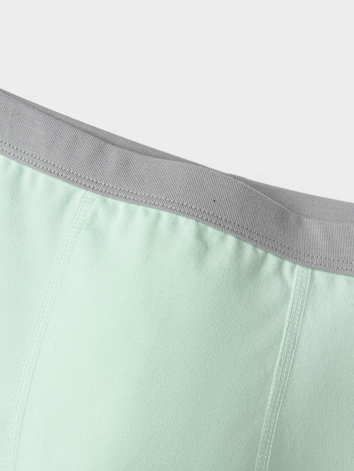 Gray Green Underpants