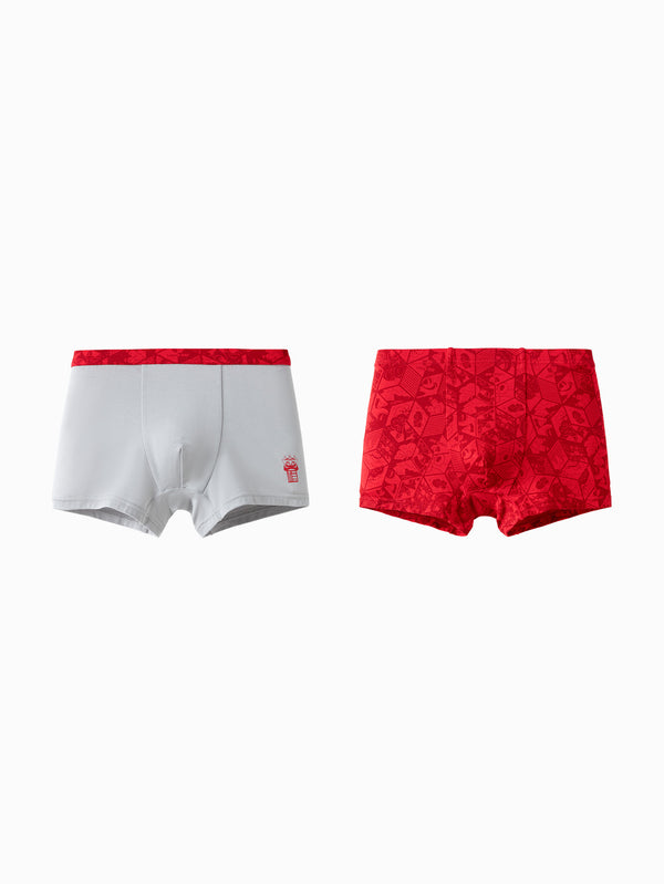 Red Gray Underpants