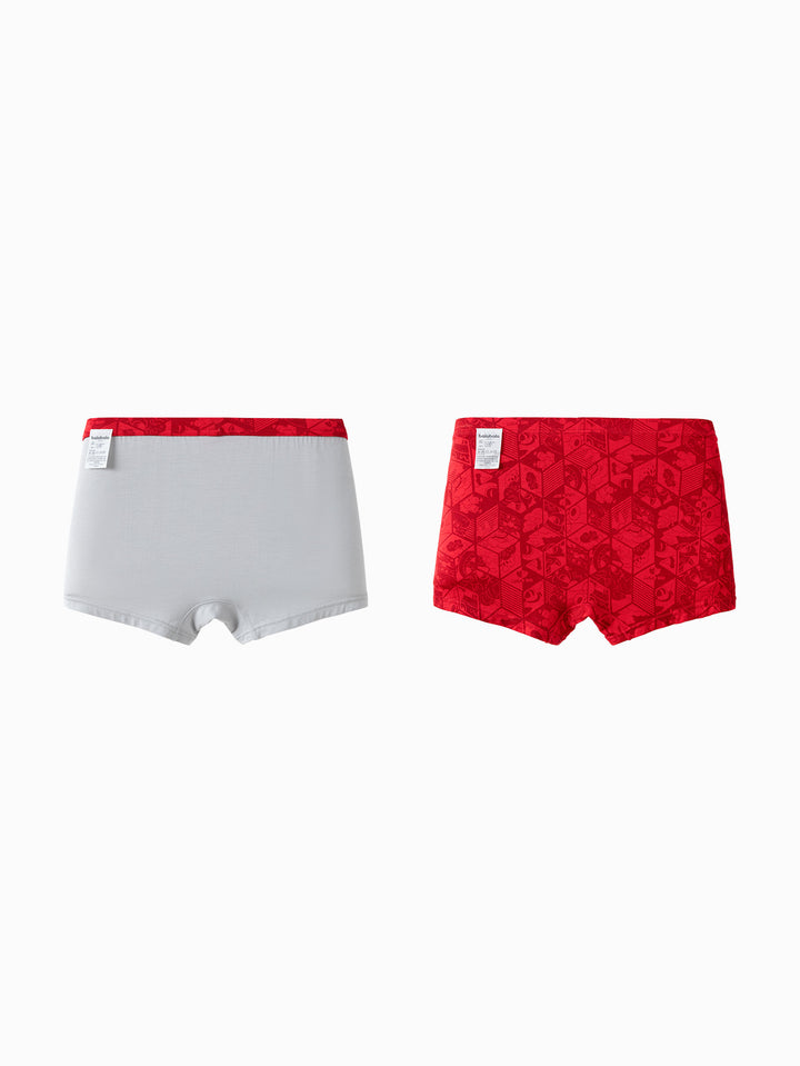 Red Gray Underpants