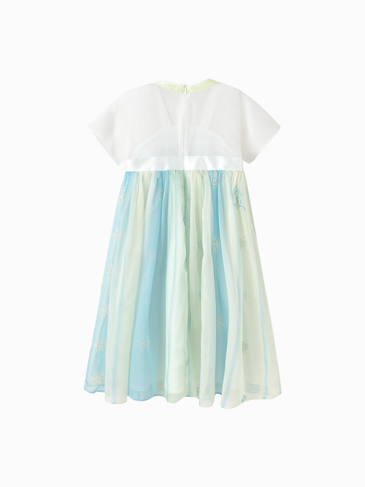 Blue Toddler Girl Woven Dress