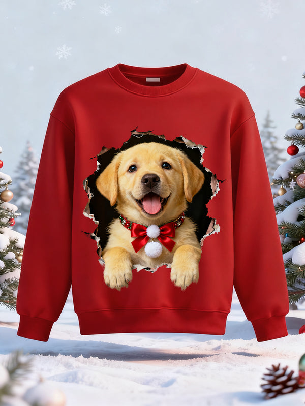 balabala Unisex Kids Christmas 3D Labrador Golden Retriever Sweatshirt