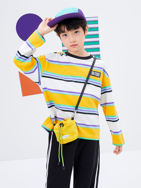 Kids Boy Stripe Trendy Long Sleeve T-Shirt208322100105